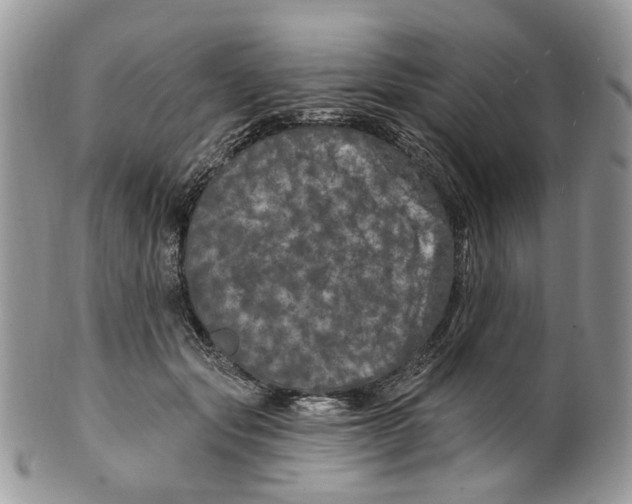 X0000099960557200806131512