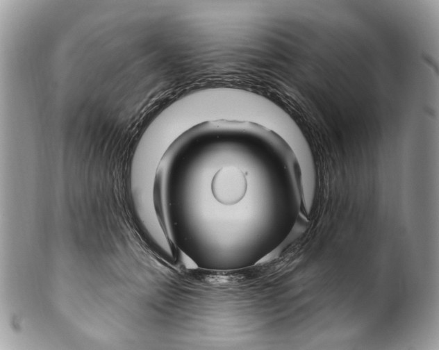 X0000099960558200806131512