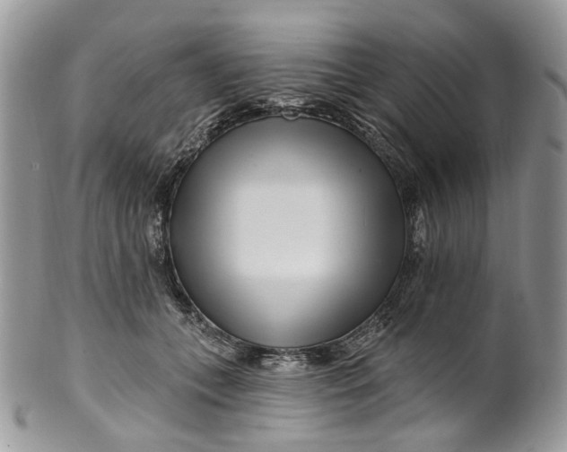 X0000099960559200806131512