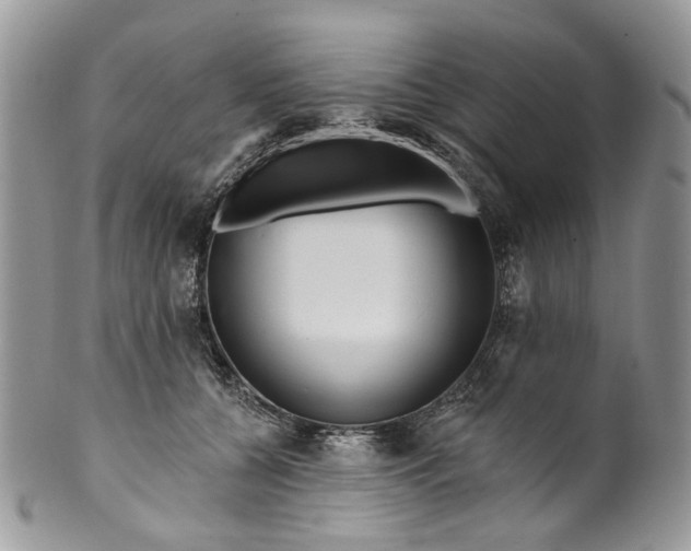 X0000099960560200806131512