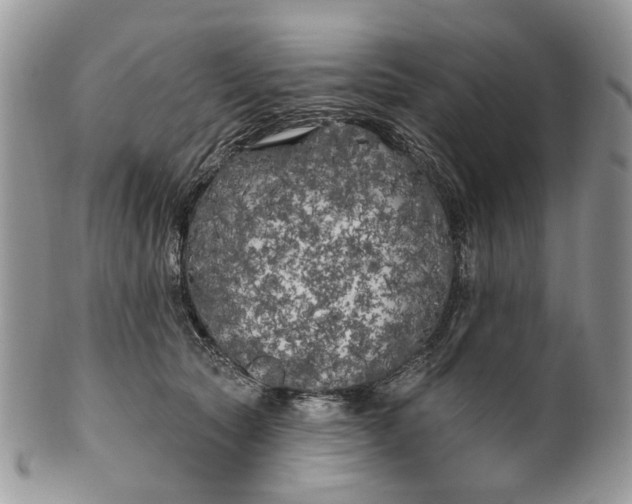 X0000099960561200806131513