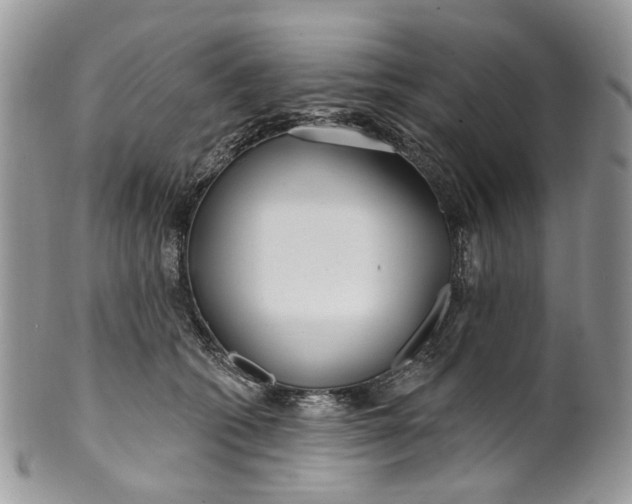 X0000099960562200806131513