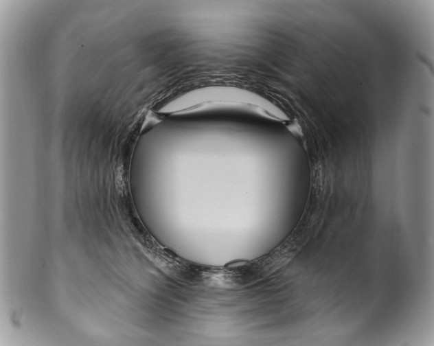 X0000099960564200806131513