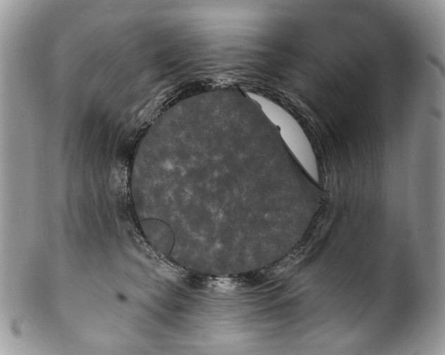 X0000099960565200806131513