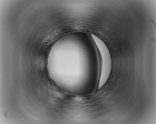 X0000099960566200806131513