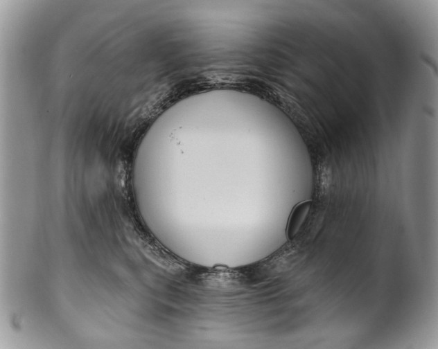 X0000099960567200806131513