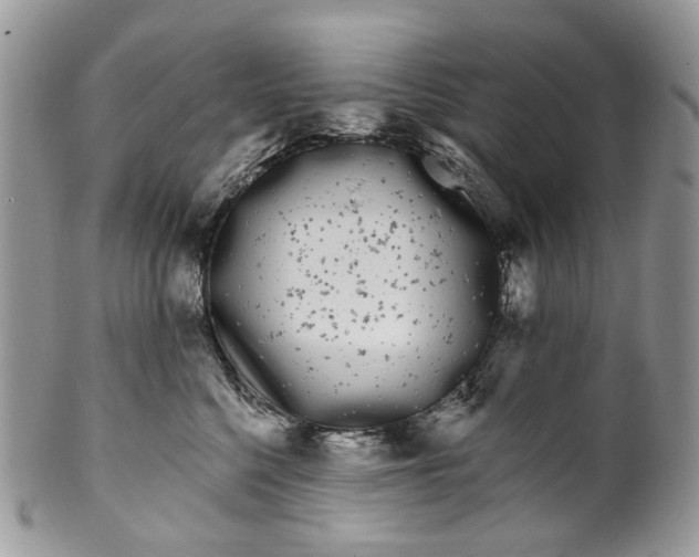 X0000099960568200806131513