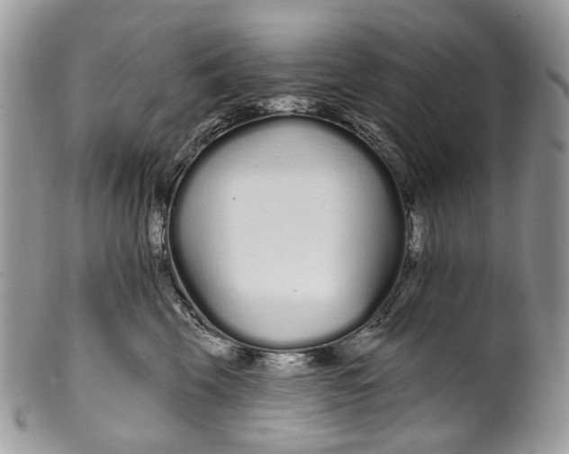 X0000099960569200806131513