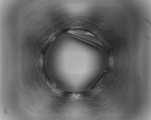 X0000099960570200806131513