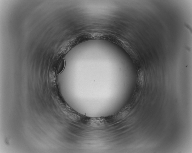 X0000099960571200806131513