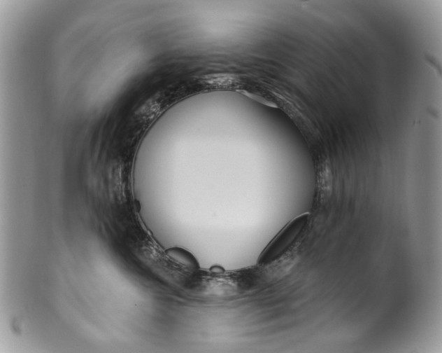 X0000099960572200806131513