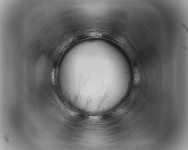 X0000099960573200806131513