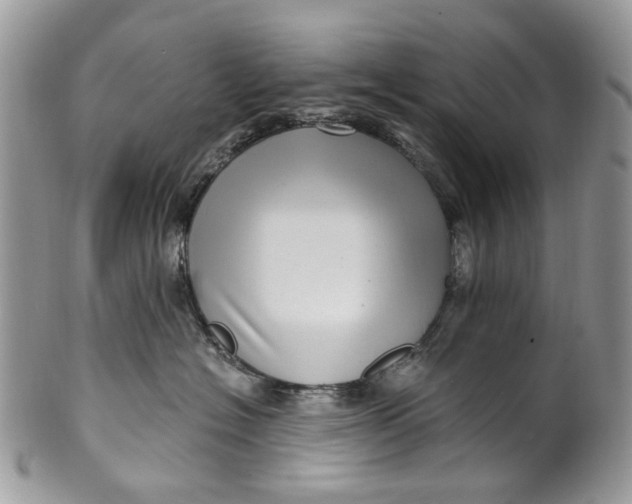 X0000099960574200806131513