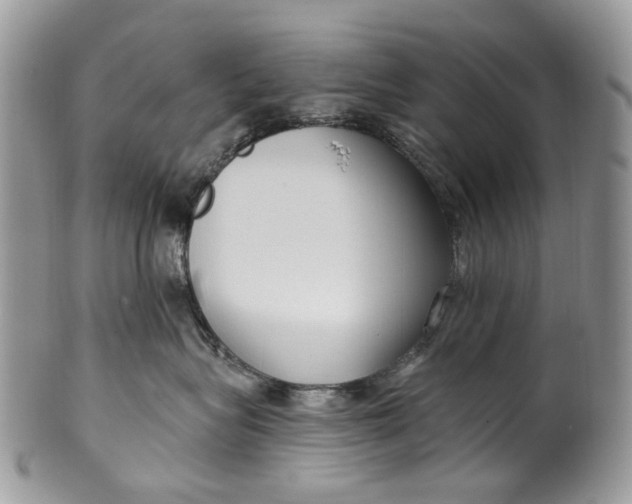 X0000099960575200806131513