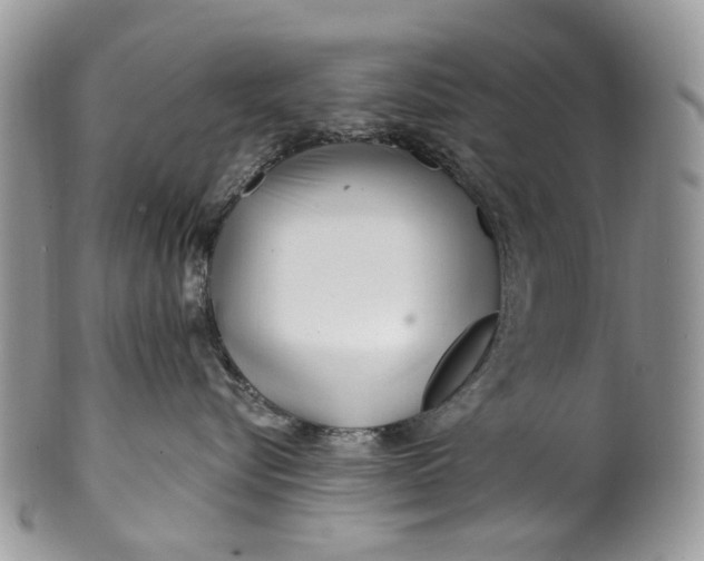 X0000099960576200806131513