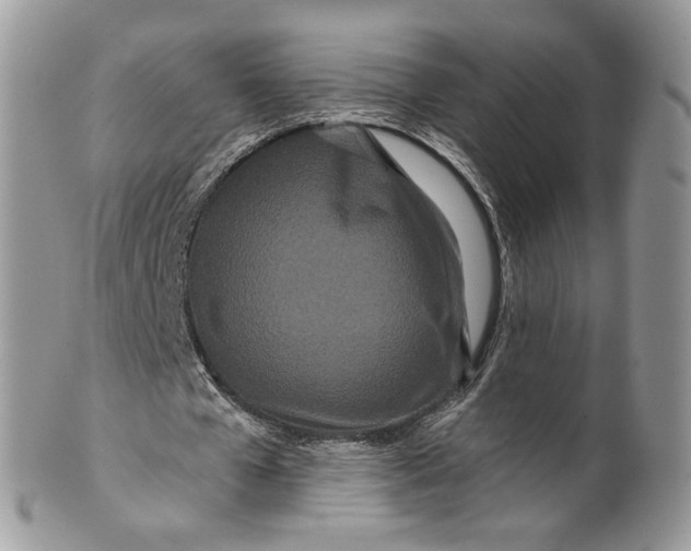 X0000099960577200806131512