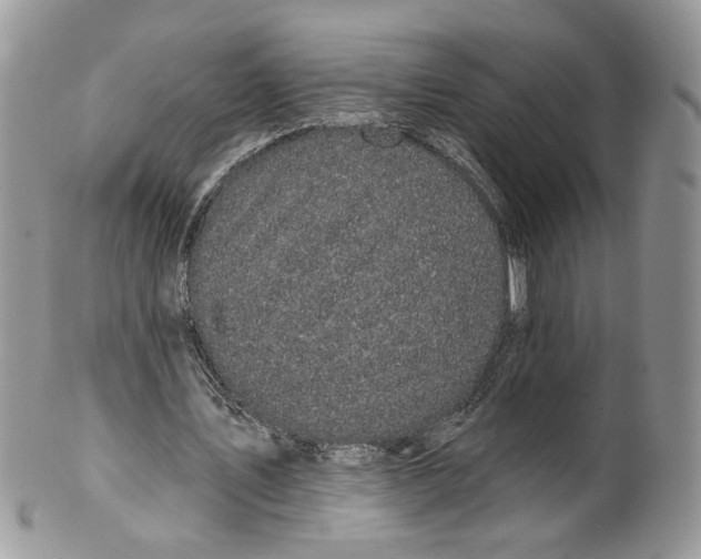 X0000099960579200806131512