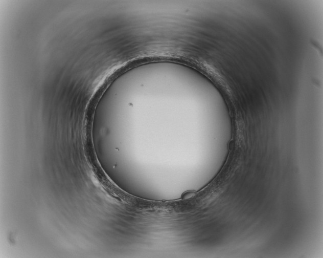 X0000099960580200806131512