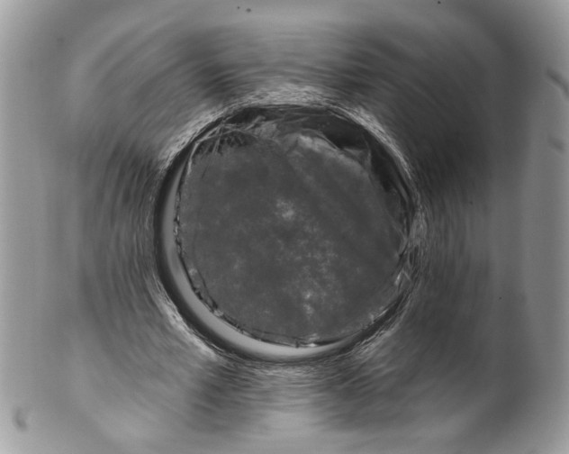 X0000099960581200806131512