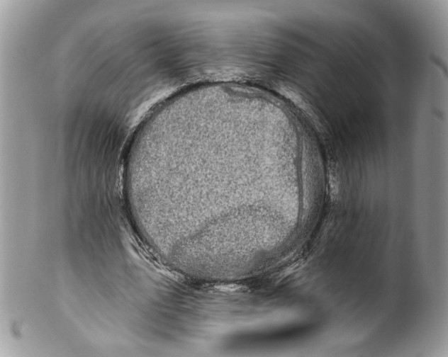 X0000099960583200806131512