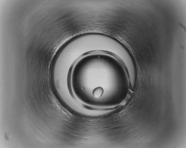 X0000099960584200806131512