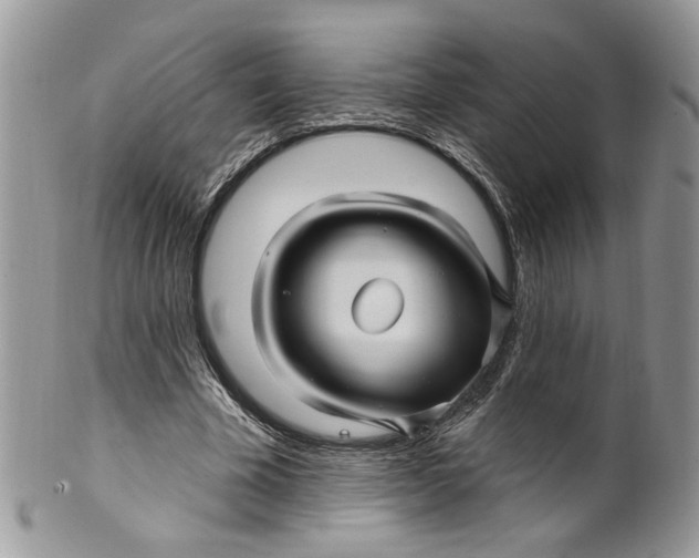 X0000099960585200806131512