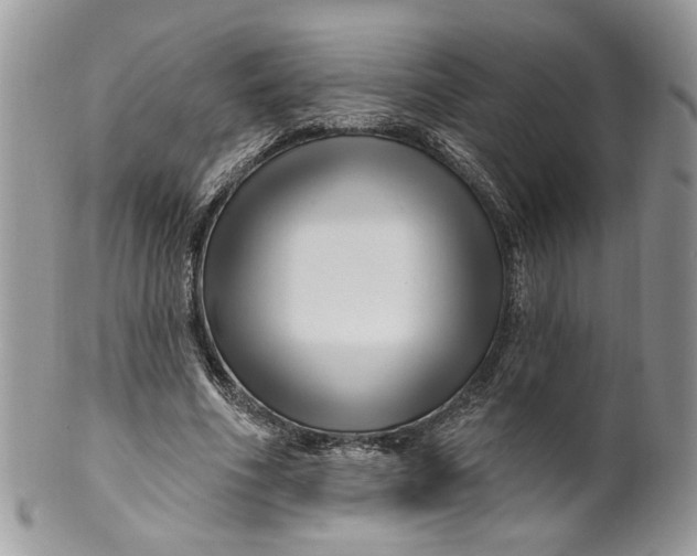 X0000099960586200806131512