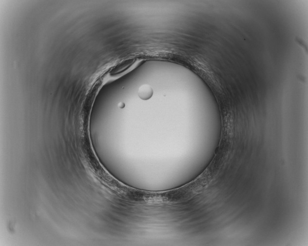 X0000099960587200806131512