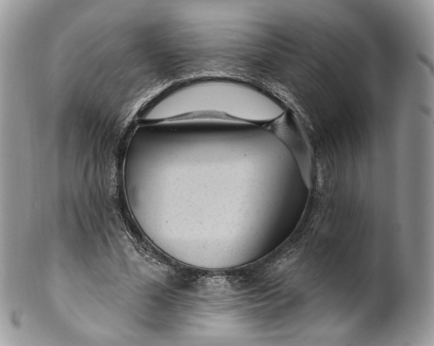 X0000099960588200806131512