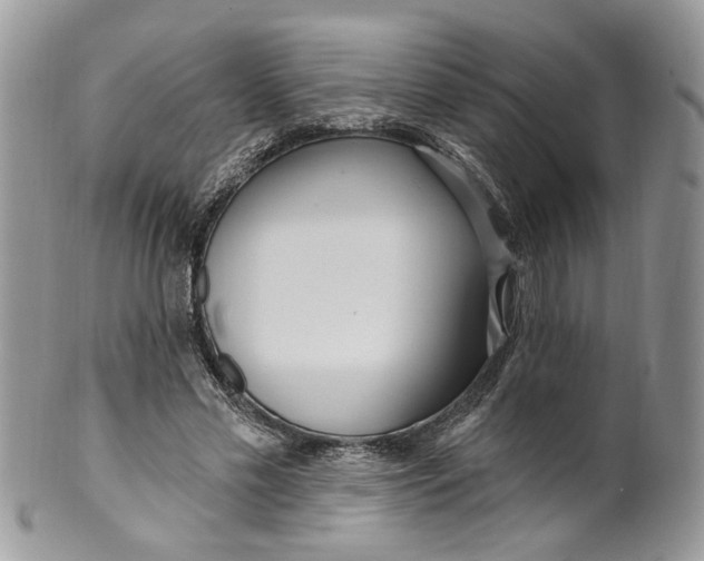 X0000099960589200806131512