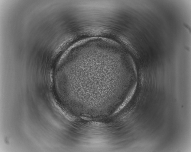 X0000099960590200806131512