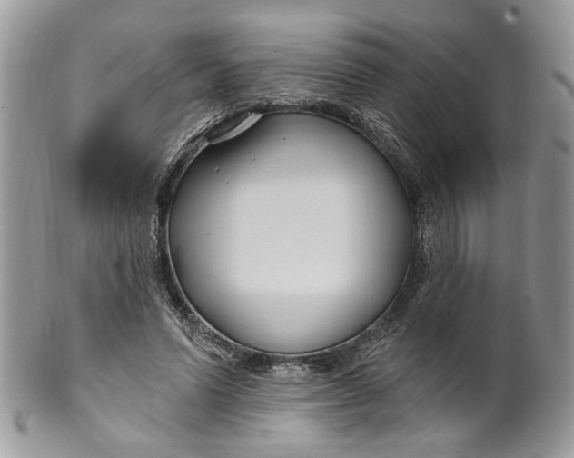 X0000099960591200806131512