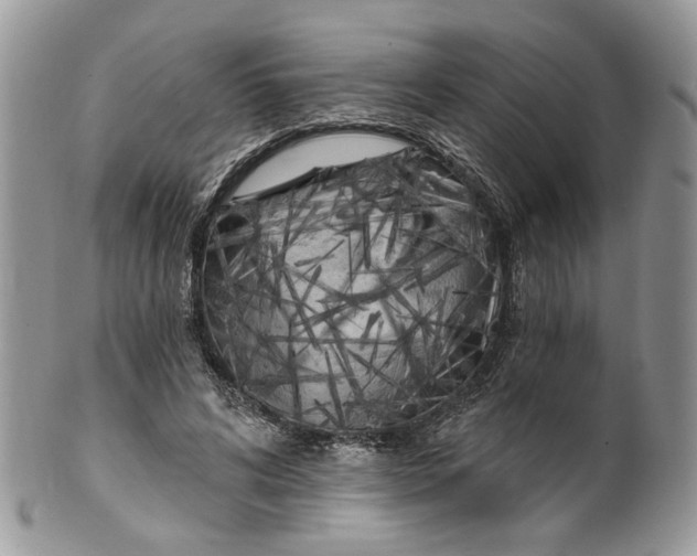 X0000099960592200806131512