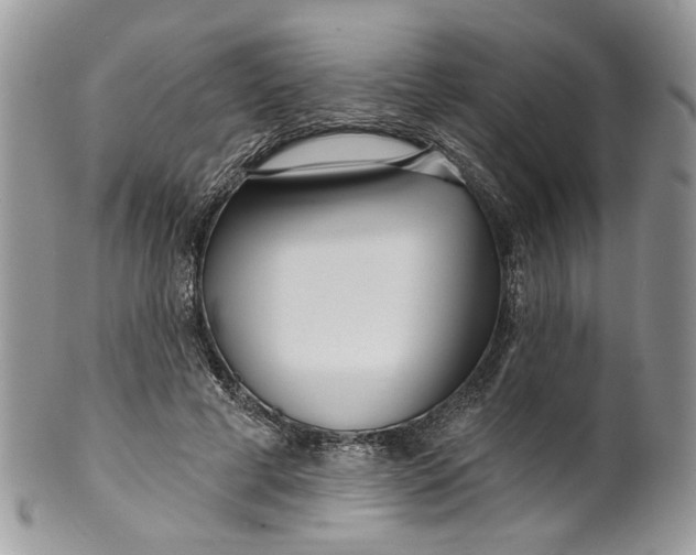 X0000099960593200806131512