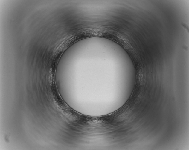 X0000099960594200806131512