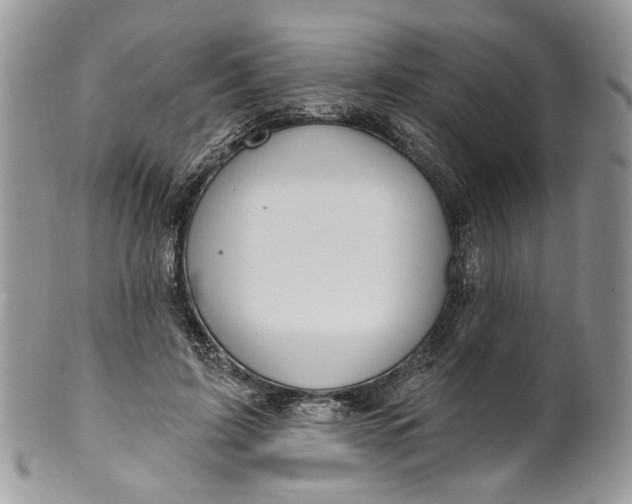 X0000099960595200806131512