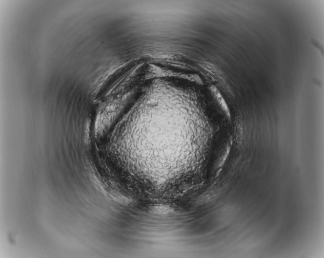 X0000099960596200806131512