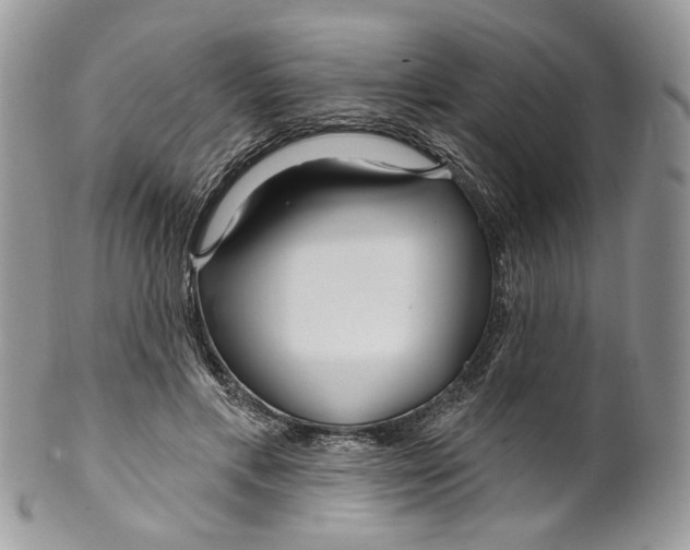 X0000099960597200806131512