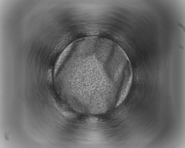 X0000099960598200806131512