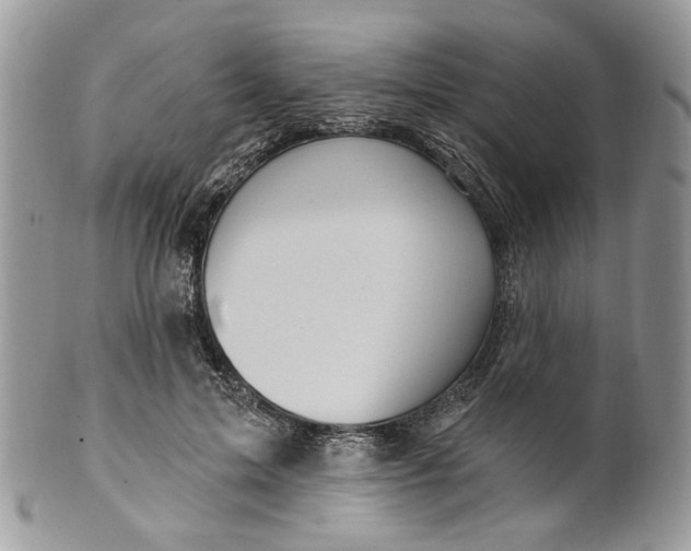 X0000099960599200806131512