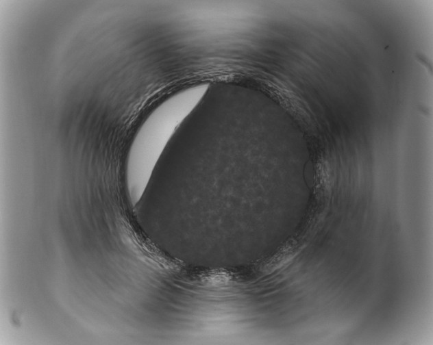 X0000099960600200806131512