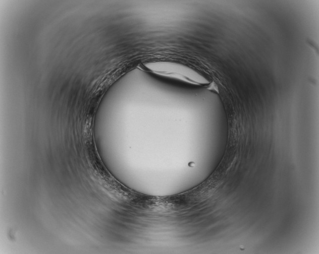 X0000099960601200806131512