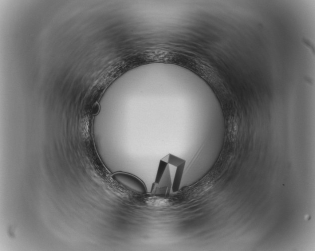 X0000099960602200806131512