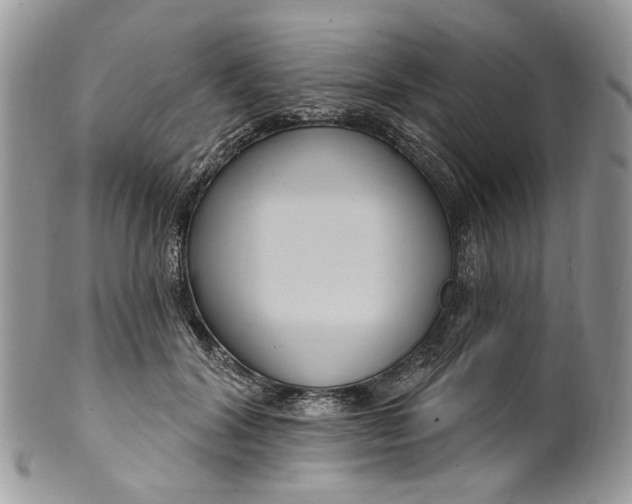 X0000099960604200806131512