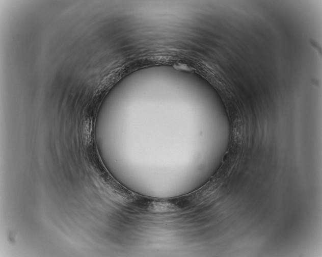 X0000099960605200806131512