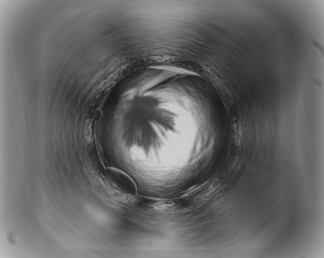 X0000099960606200806131512