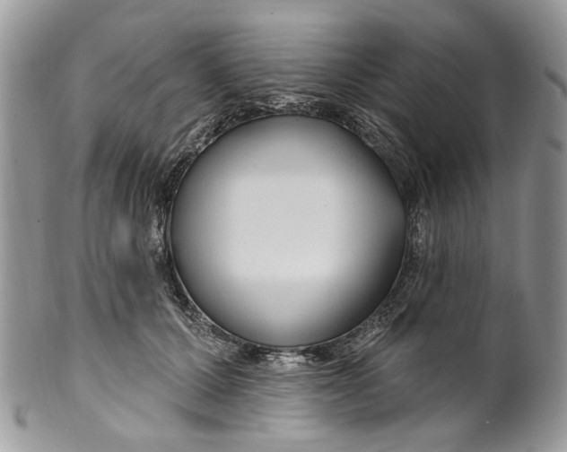 X0000099960607200806131512