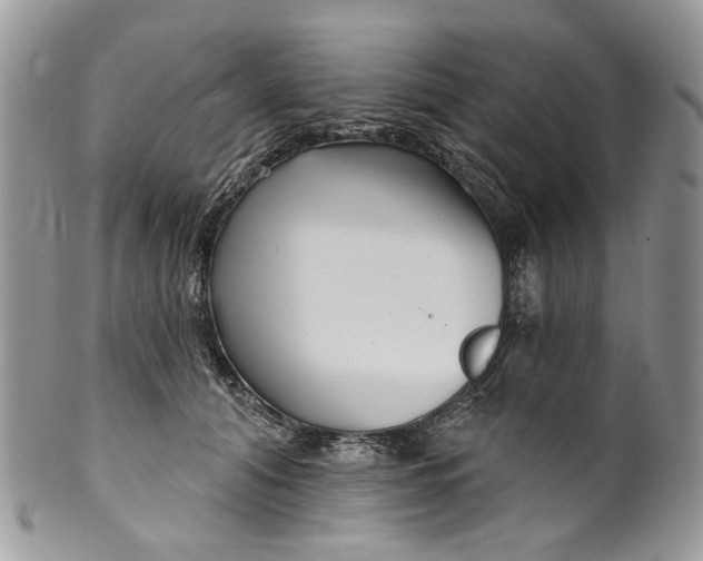 X0000099960608200806131512