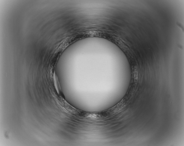 X0000099960611200806131512