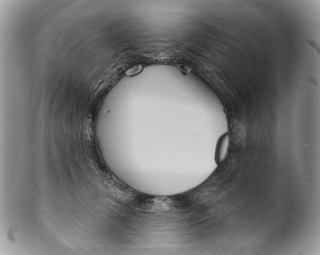 X0000099960612200806131512